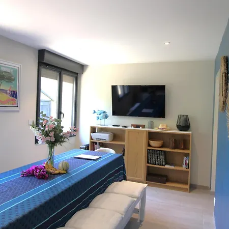 Villa Ceinturon-l'ayguade-50m Clim Pk Wifi By Hc Hyeres